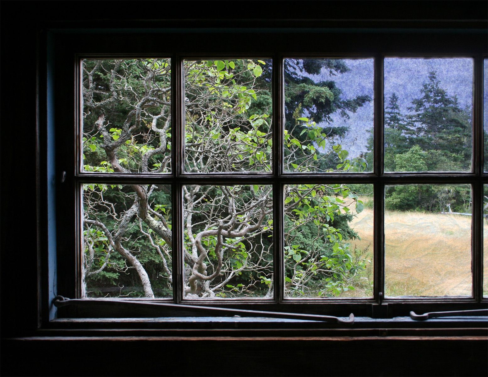 window view 2